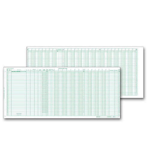 Keep consistent records with these quality journal sheets.
    Compatibility: Compatible with Deluxe Personal Accounting System 114001.