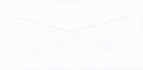 DBL WINDOW ENV/PEGBD PLAIN 7-3/8 X 3-5/8 24# WH WOVE/TRANSKRIT - Choice Checks