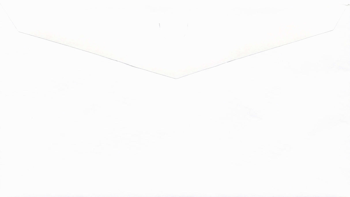 DBL WINDOW ENV/PEGBD PLAIN 6-1/4 X 3-1/2 24# WH WOVE/VERIBEST - Choice Checks