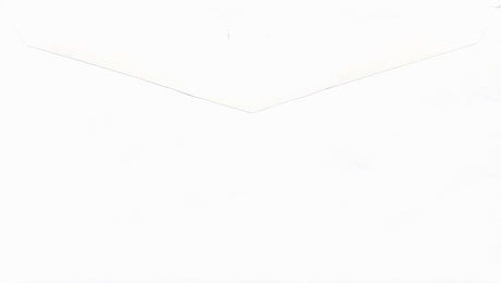 DBL WINDOW ENV/PEGBD PLAIN 6-1/4 X 3-1/2 24# WH WOVE/VERIBEST - Choice Checks