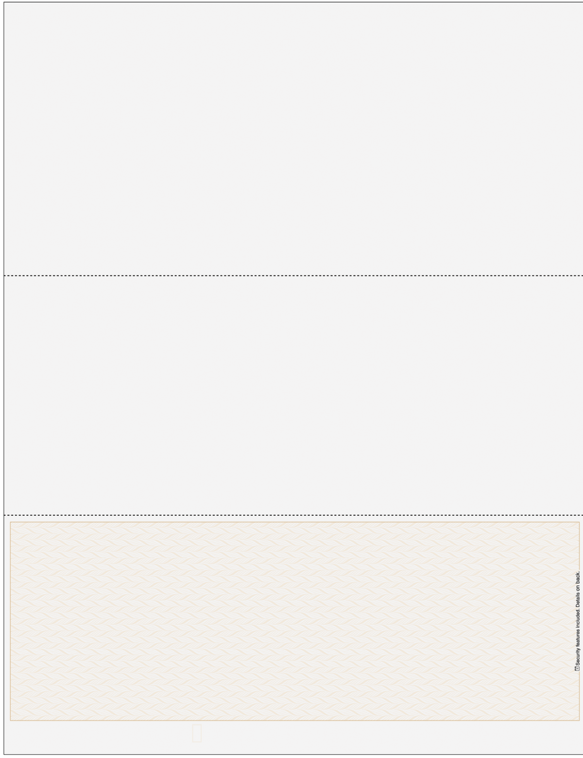 Tan blank business check on bottom with two voucher sections above