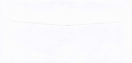 DBL WINDOW ENV/PEGBD PLAIN 7-1/2 X 3-5/8 24# WH WOVE/R&R POST-RITE - Choice Checks