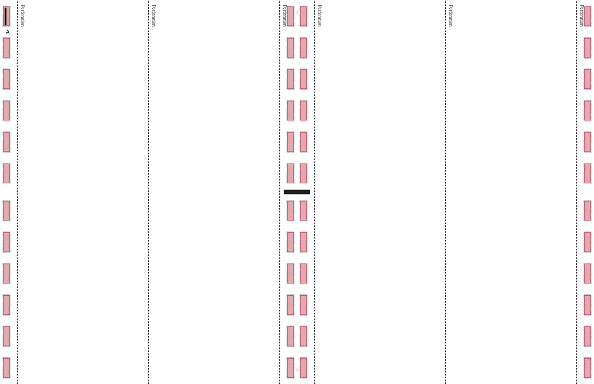 4 UP 100# TAG, 17 x 11 V Fold - Choice Checks