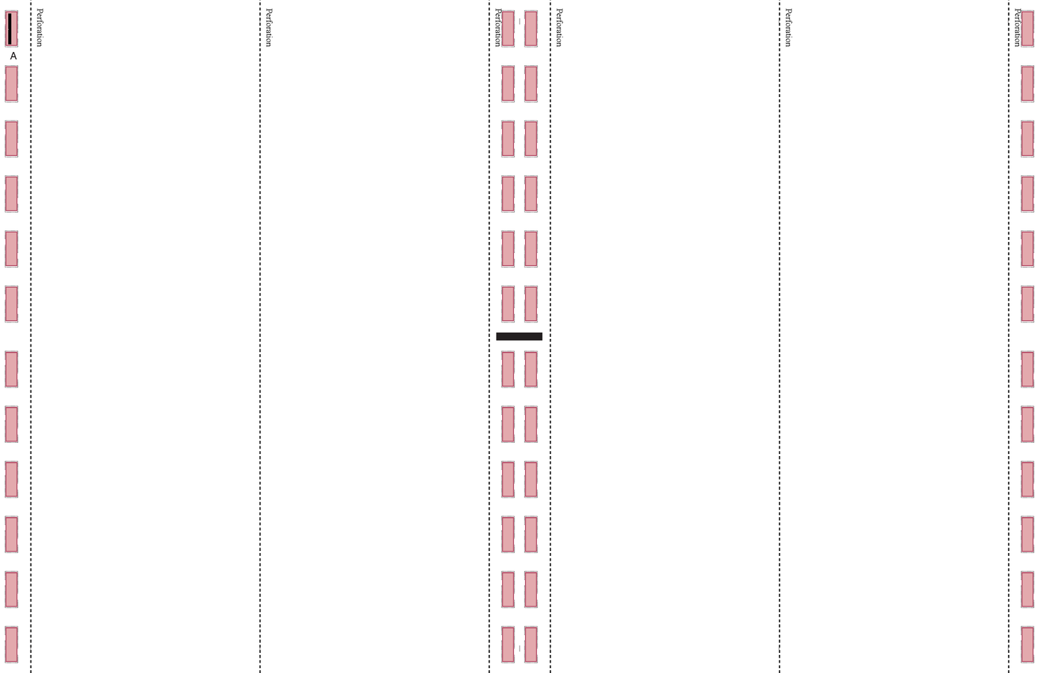 4 UP 100# TAG, 17 x 11 V Fold - Choice Checks