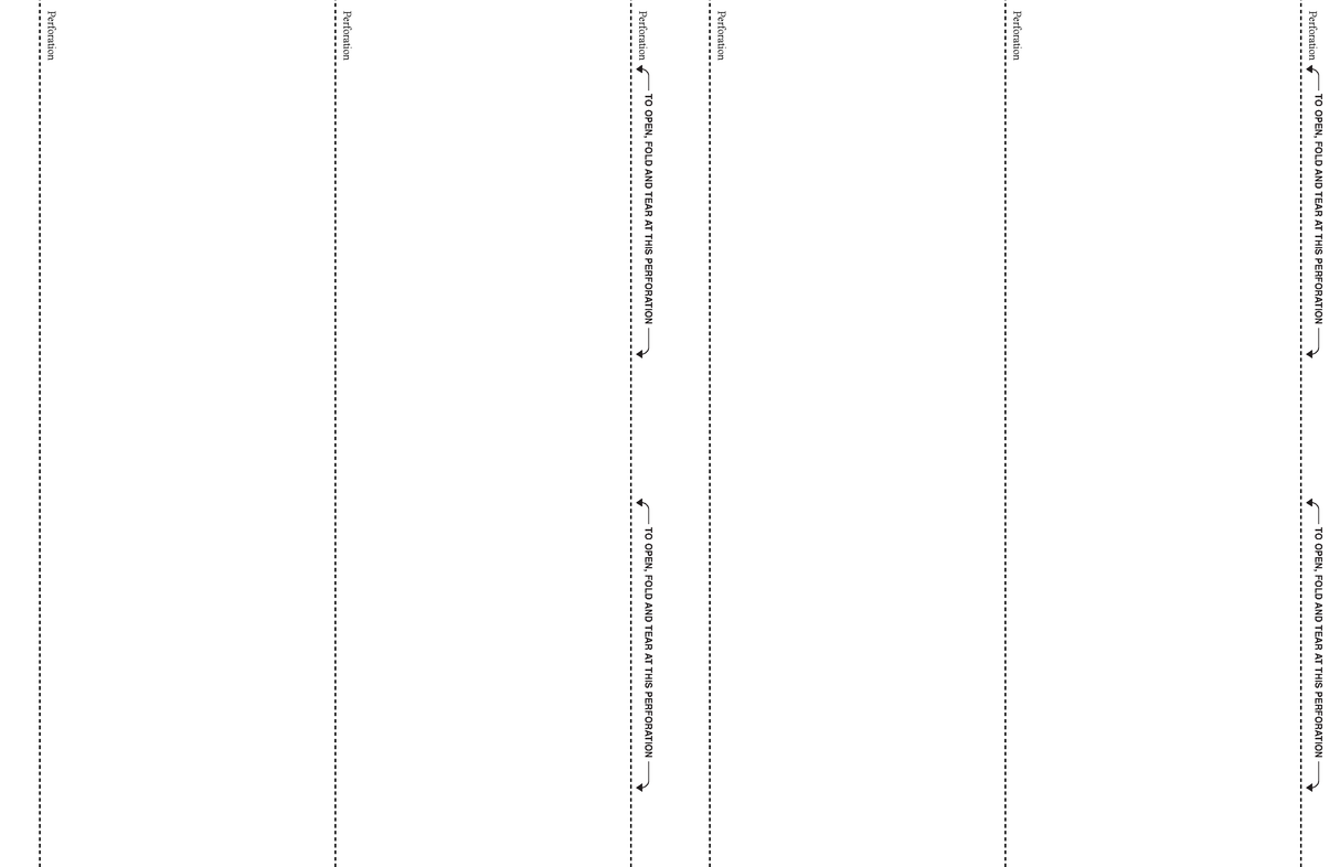 4 UP 100# TAG, 17 x 11 V Fold - Choice Checks