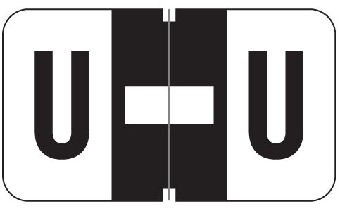 W-2100 Series JETER Compatible Alpha Ring Book Refill Pages
