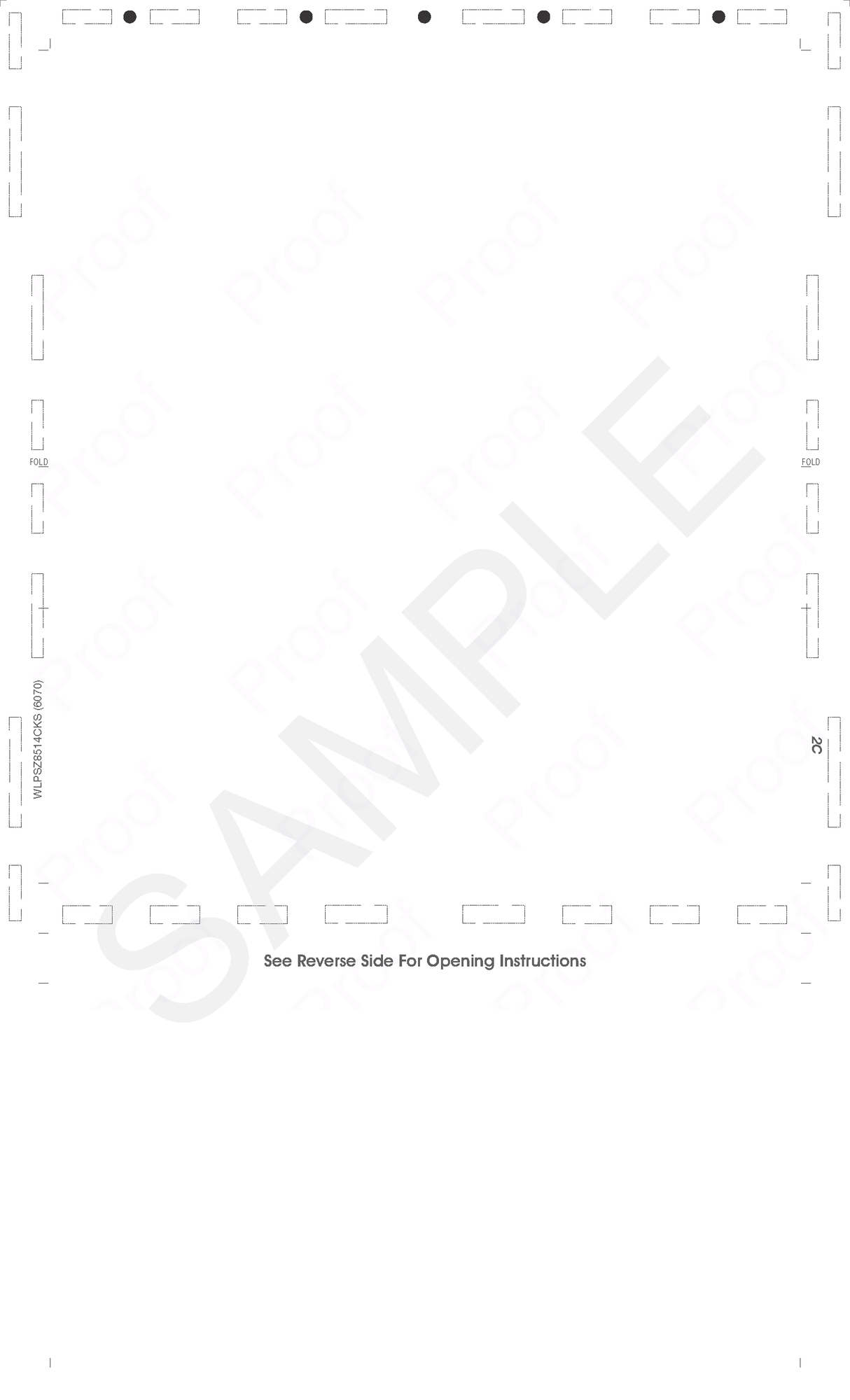 2¾-inch Blank Check with Backer and Two Blockouts Z-Fold Blank Pressure Seal Checks – 8½ × 14