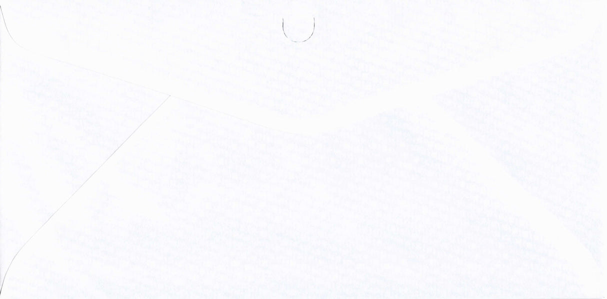 DBL WINDOW ENV/PEGBD PLAIN 8-3/4X4-5/16 24# WH WOVE/SAFEGUARD - Choice Checks