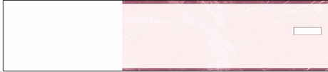 3-On-A-Page Manual Checks - Burgundy Marble