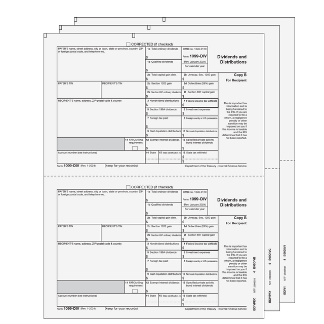 1099-DIV Dividends and Distributions - 3-part E-file Set (Preprinted)