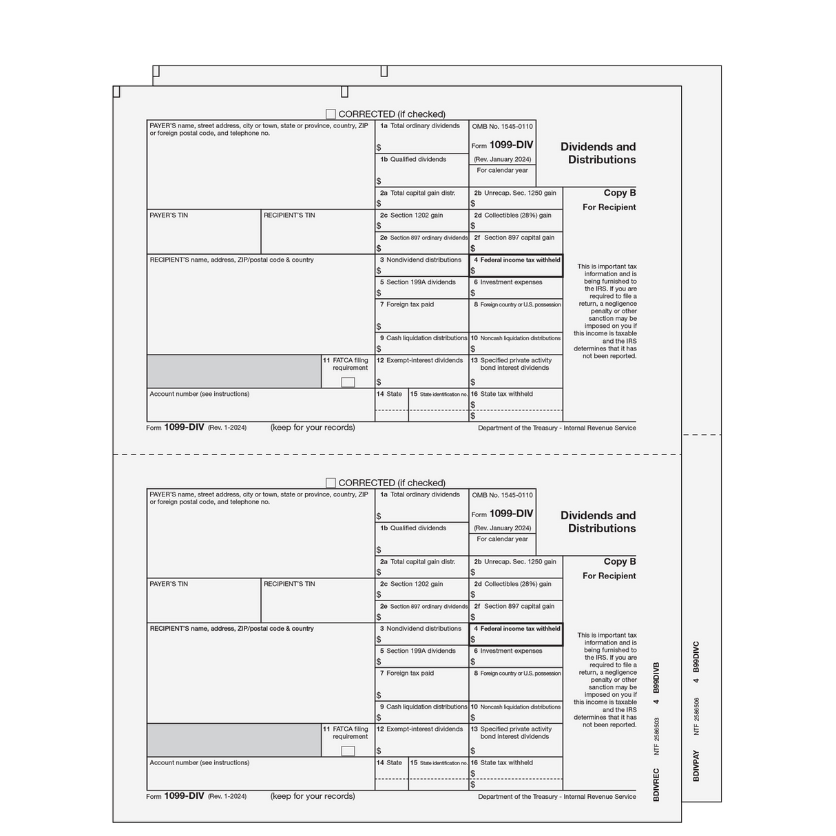 1099-DIV Dividends and Distributions - 2-part E-file Set (Preprinted)