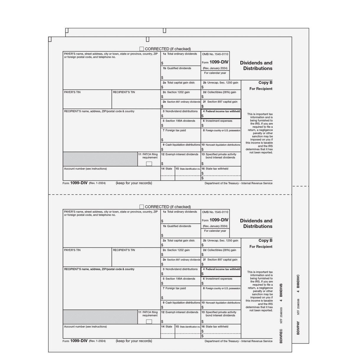 2026 1099-DIV Preprinted E-file Laser Set - 2 Part