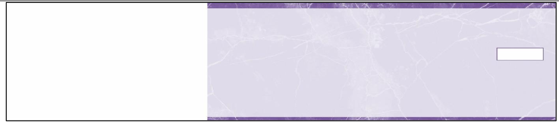 3-On-A-Page Manual Checks - Marble Purple