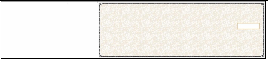 3-On-A-Page Manual Checks - Tan Parchment