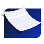 Blank Business Checks