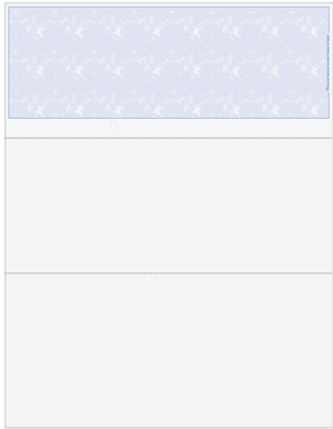 Blank Business Checks on Top