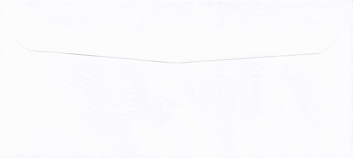 DBL WINDOW ENV/PEGBD PLAIN 8-1/16X3-5/8 24# WH WOVE/TRANSKRIT - Choice Checks