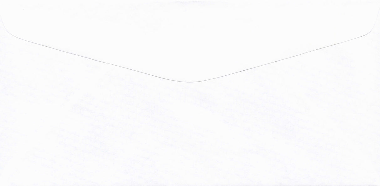 DBL WINDOW ENV/PEGBD PLAIN 7-3/8 X 3-5/8 24# WH WOVE/TRANSKRIT - Choice Checks