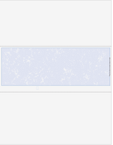Marble Blank Business Checks in Middle - Better Security Marble Blue