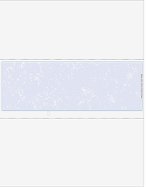 Marble Blank Business Checks in Middle - Better Security Marble Blue