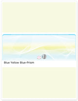 Middle Check Stock Prism Hologram Blank Business Checks – Best Security