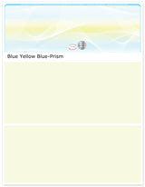 Top Check Stock Prism Hologram Blank Business Checks – Best Security