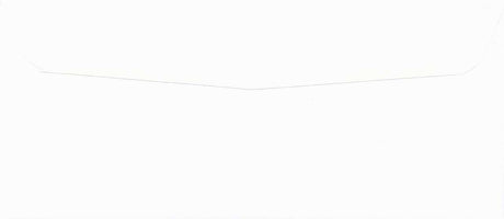 DBL WINDOW-QUICKEN PLAIN 8-5/8 X 3-3/4 24# WH WOVE/GUM - Choice Checks