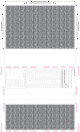 Blank Check with Backer, Two Blockouts and Hologram – Red / Blue / Red EZ-Fold Blank Pressure Seal Checks – 8½ × 14