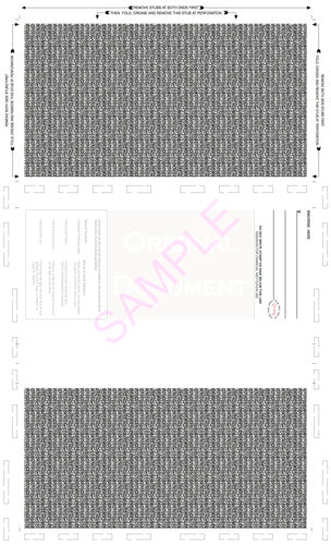 Check, Blank, with backer, two blockouts 28#, 8-1/2" x 14" Z-Fold - Choice Checks