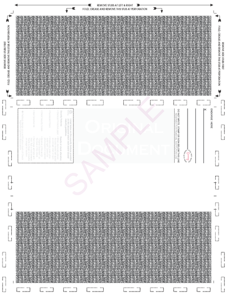 Void Pantograph Check – Blue 281 Z-Fold Blank Pressure Seal Checks – 8½ × 11