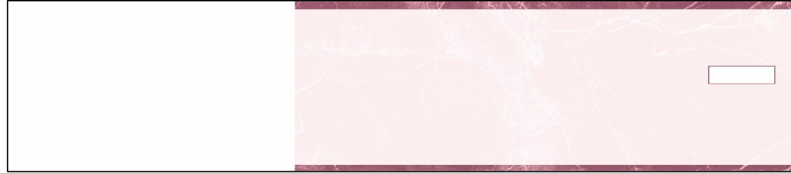 3-On-A-Page Manual Checks - Burgundy Marble