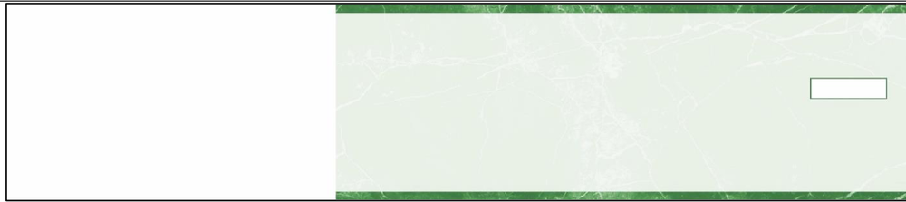 3-On-A-Page Manual Checks - Marble Green