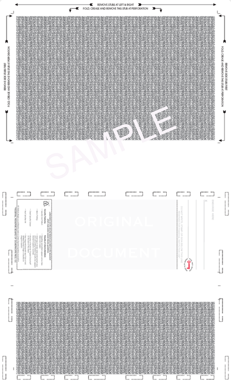 Void Pantograph Check – Blue 281 EZ-Fold Blank Pressure Seal Checks – 8½ × 14