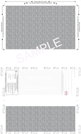 Basic Void Pantograph Check – Blue 281 EZ-Fold Blank Pressure Seal Checks – 8½ × 14