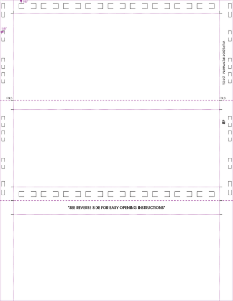 Form, Stock, Blank, Two Blockouts, 24# MOCR, 8-1/2" x 11" Z-Fold - Choice Checks