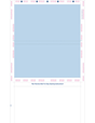 Form, Blue 288, Two blockouts, 28#MOCR, 8-1/2" x 14" Z-Fold - Choice Checks