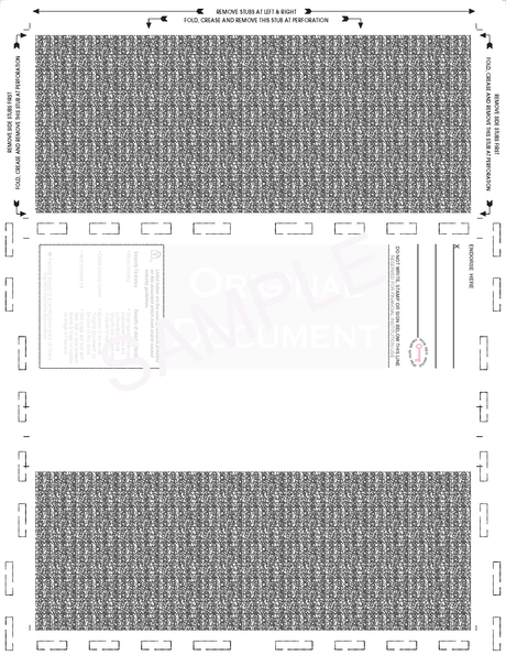 Void Pantograph Check – Blue 281 Z-Fold Blank Pressure Seal Checks – 8½ × 11