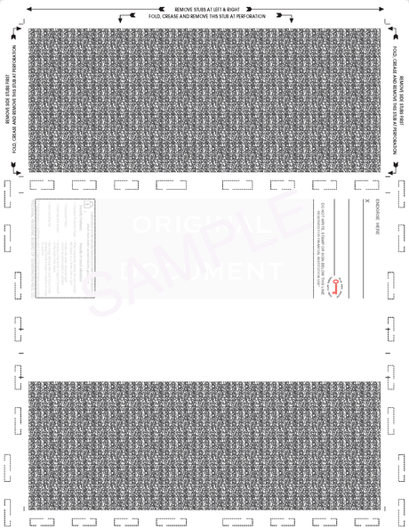 Blank Check with Backer Z-Fold Blank Pressure Seal Checks – 8½ × 11