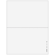 2up Blank W-2 & 1099 Form (without Instructions)